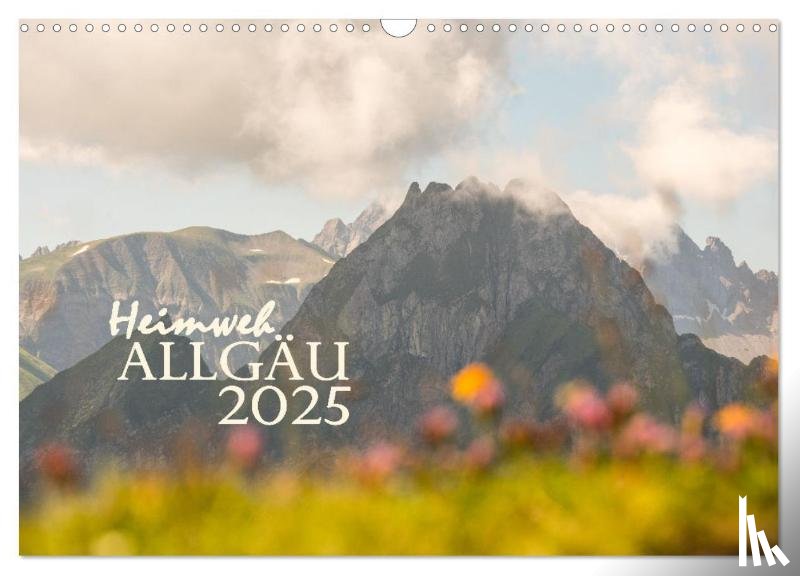 Wandel, Juliane - Heimweh Allgäu 2025 (Wandkalender 2025 DIN A3 quer), CALVENDO Monatskalender