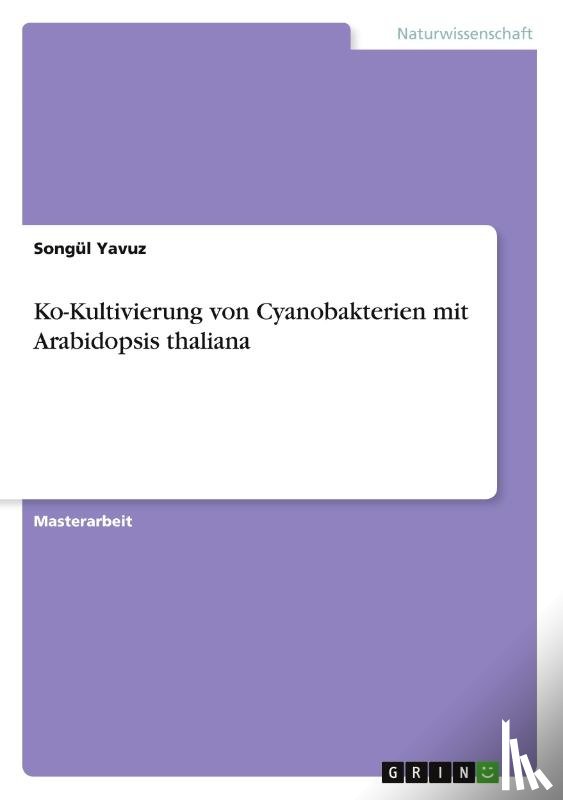 Yavuz, Songül - Ko-Kultivierung von Cyanobakterien mit Arabidopsis thaliana