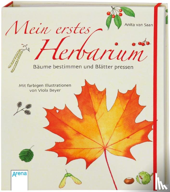 Saan, Anita van - Mein erstes Herbarium - Bäume bestimmen und Blätter pressen