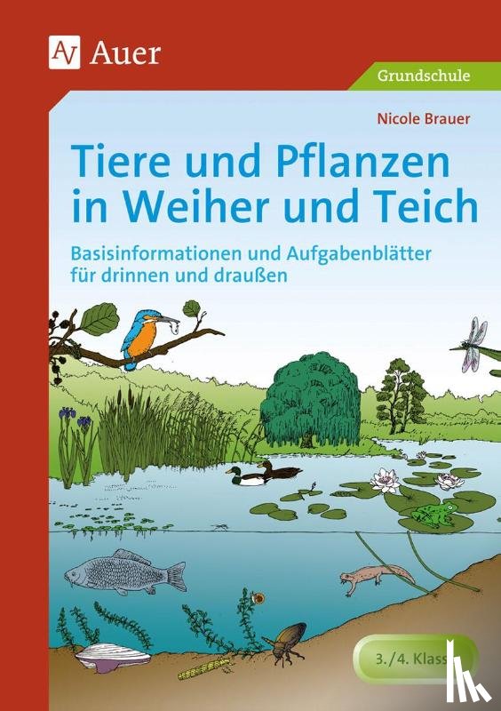 Brauer, Nicole - Tiere und Pflanzen in Weiher und Teich