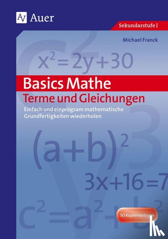 Schmidt, Hans - Basics Mathe: Terme und Gleichungen