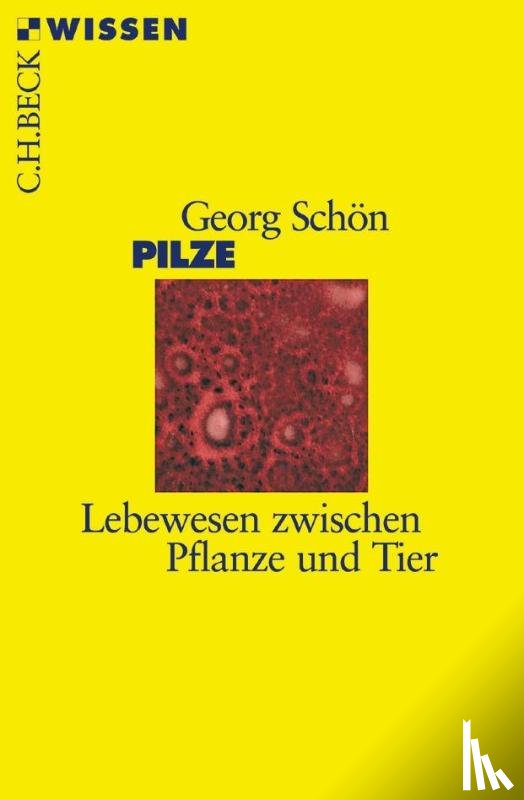 Schön, Georg - Pilze