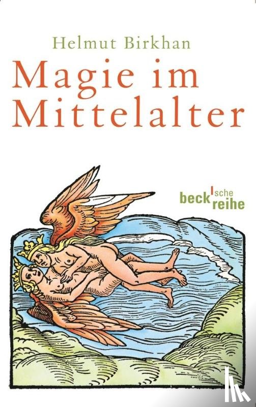 Birkhan, Helmut - Magie im Mittelalter