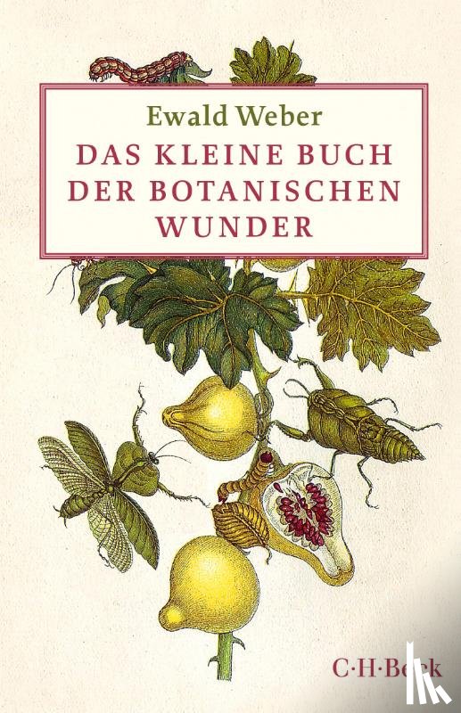 Weber, Ewald - Das kleine Buch der botanischen Wunder