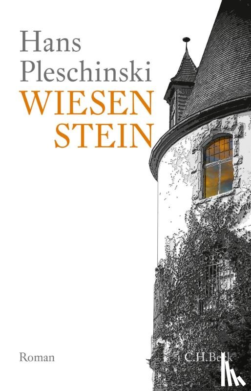 Pleschinski, Hans - Wiesenstein