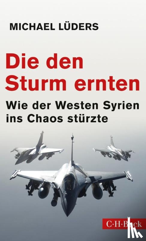 Luders, Michael - Die den Sturm ernten