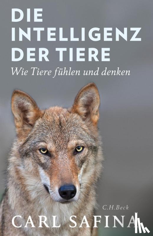 Safina, Carl - Die Intelligenz der Tiere