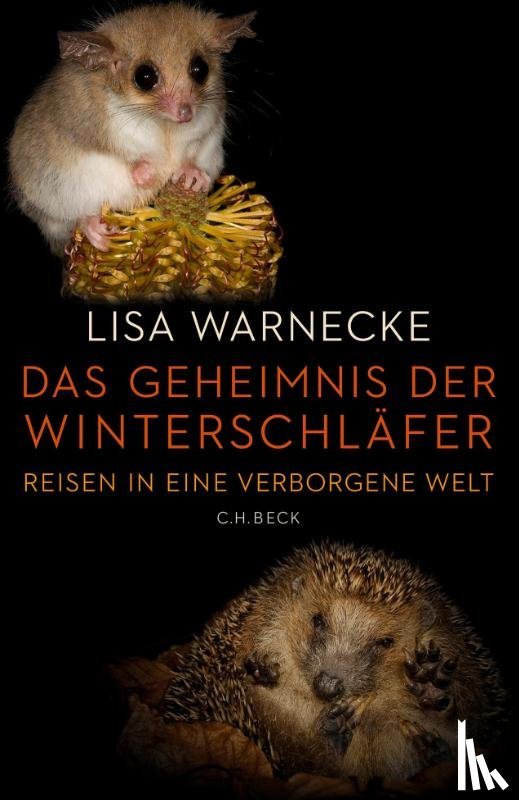 Warnecke, Lisa - Das Geheimnis der Winterschläfer