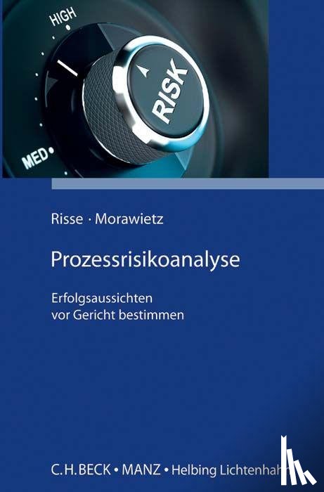 Risse, Jörg, Morawietz, Matthias - Prozessrisikoanalyse