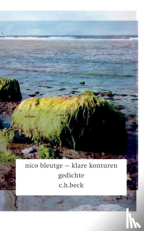 Bleutge, Nico - klare konturen