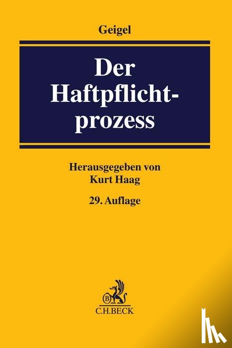  - Der Haftpflichtprozess