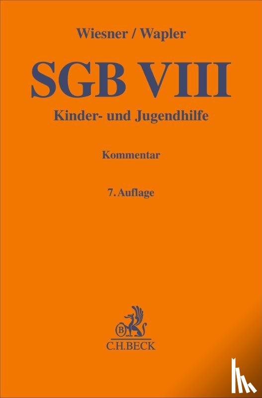  - SGB VIII