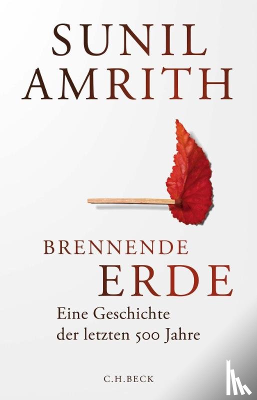 Amrith, Sunil - Brennende Erde
