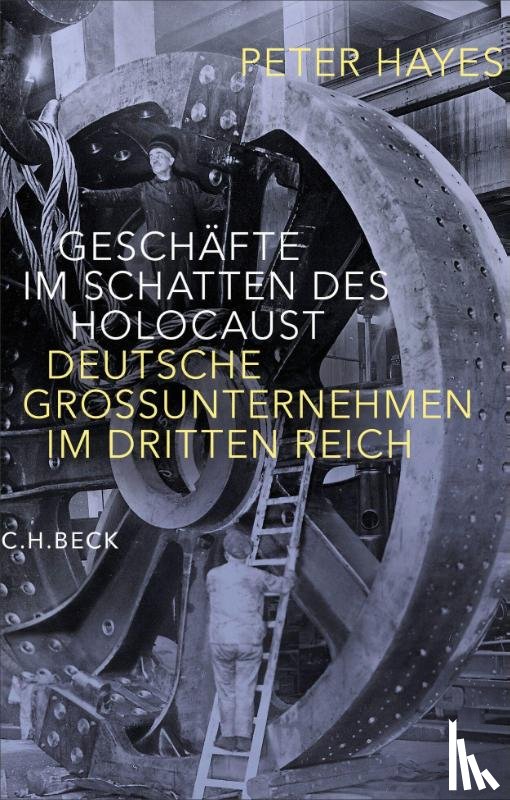 Hayes, Peter - Geschäfte im Schatten des Holocaust