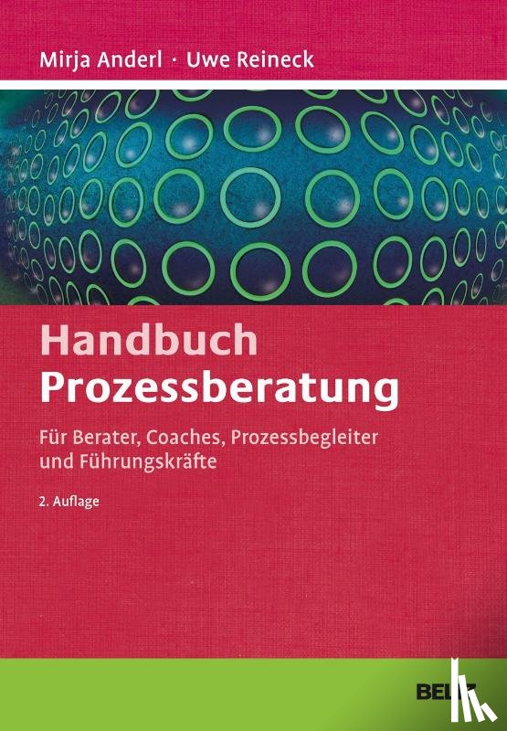 Reineck, Uwe, Anderl, Mirja - Handbuch Prozessberatung