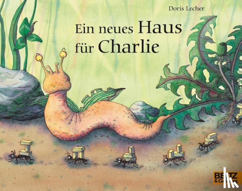 Lecher, Doris - Ein neues Haus für Charlie