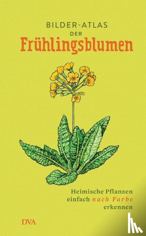  - Bilder-Atlas der Frühlingsblumen