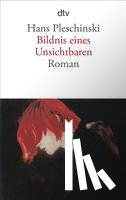 Pleschinski, Hans - Bildnis eines Unsichtbaren