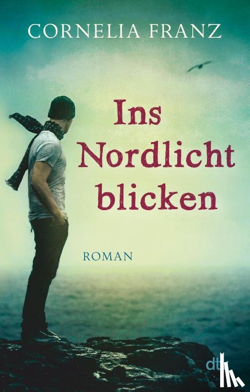 Franz, Cornelia - Ins Nordlicht blicken
