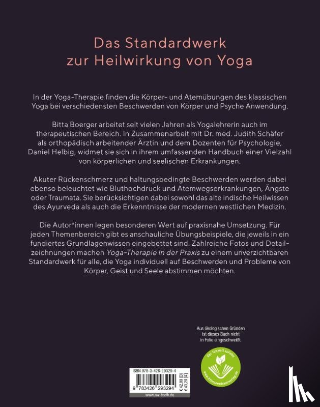 Boerger, Bitta - Yoga-Therapie in der Praxis
