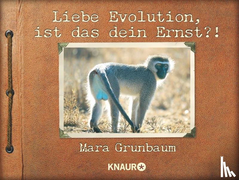 Grunbaum, Mara - Liebe Evolution, ist das dein Ernst?!