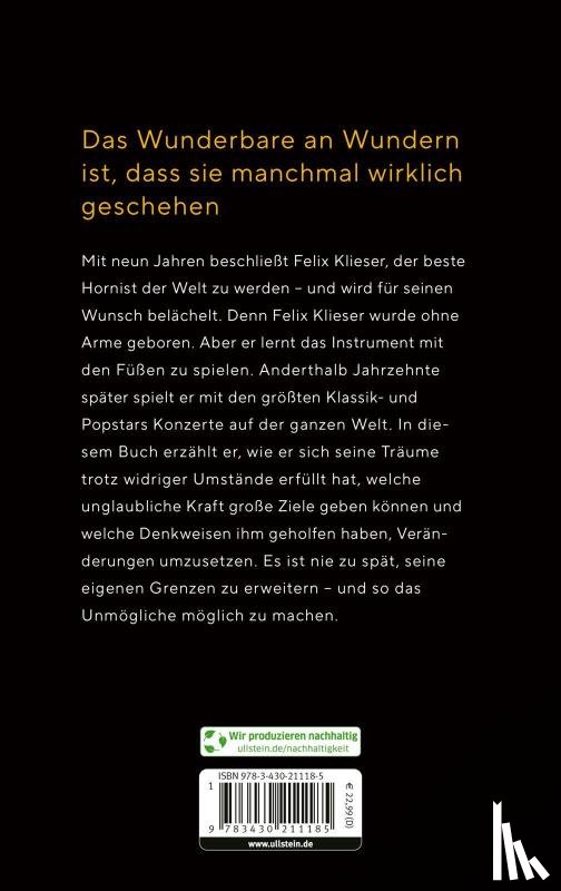 Klieser, Felix - Stell dir vor, es geht nicht, und einer tut es doch