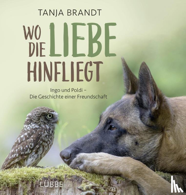 Brandt, Tanja - Wo die Liebe hinfliegt