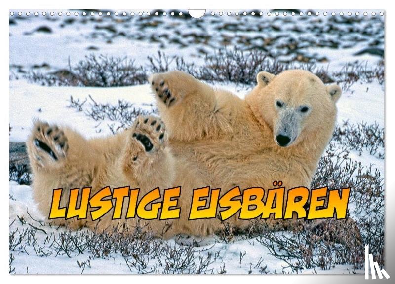 Stegen, Joern - Lustige Eisbären (Wandkalender 2025 DIN A3 quer), CALVENDO Monatskalender