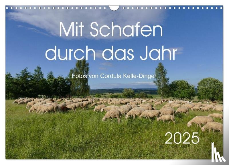 Kelle-Dingel, CoKeDi-Photographie - Mit Schafen durch das Jahr (Wandkalender 2025 DIN A3 quer), CALVENDO Monatskalender
