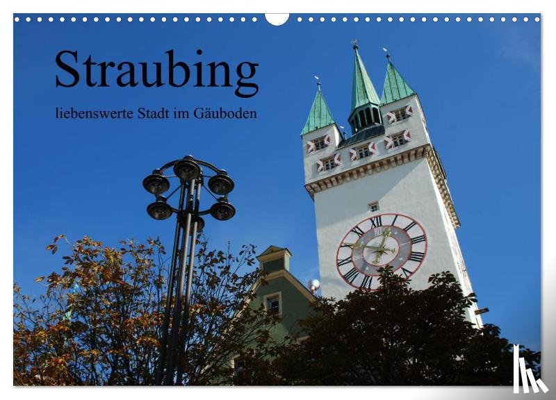 Stein, Karin - Straubing, liebenswerte Stadt im Gäuboden (Wandkalender 2025 DIN A3 quer), CALVENDO Monatskalender