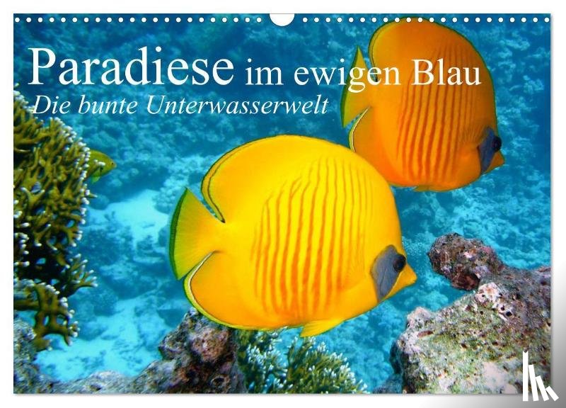 Stanzer, Elisabeth - Paradiese im ewigen Blau. Die bunte Unterwasserwelt (Wandkalender 2025 DIN A3 quer), CALVENDO Monatskalender