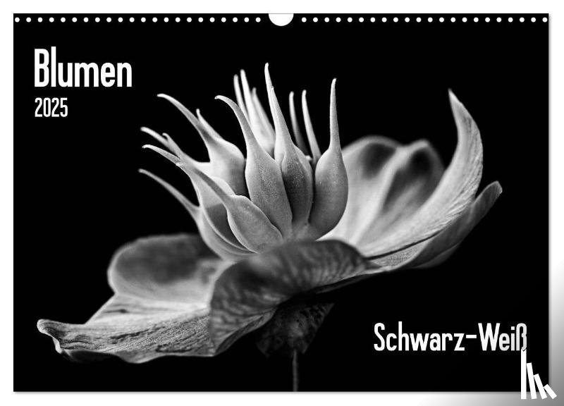 Wurster, Beate - Blumen 2025, Schwarz-Weiß (Wandkalender 2025 DIN A3 quer), CALVENDO Monatskalender