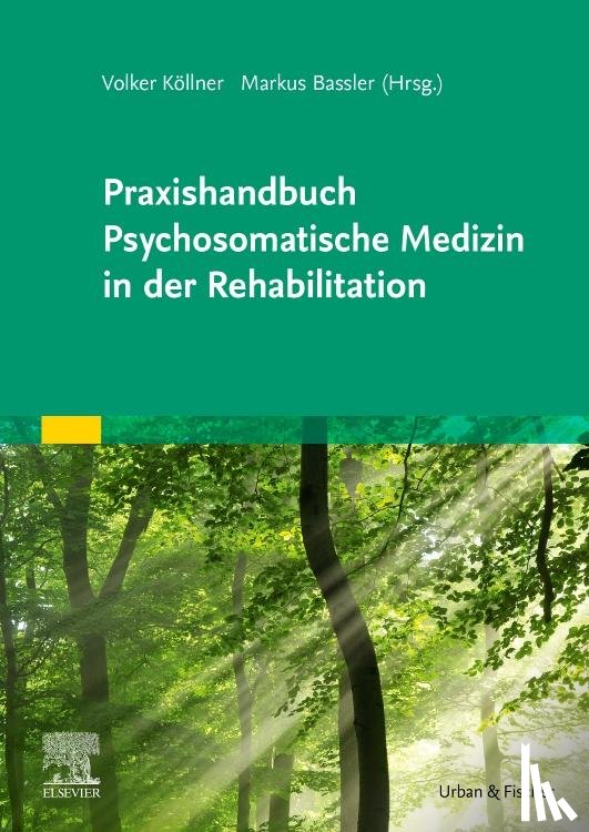  - Praxishandbuch Psychosomatische Medizin in der Rehabilitation
