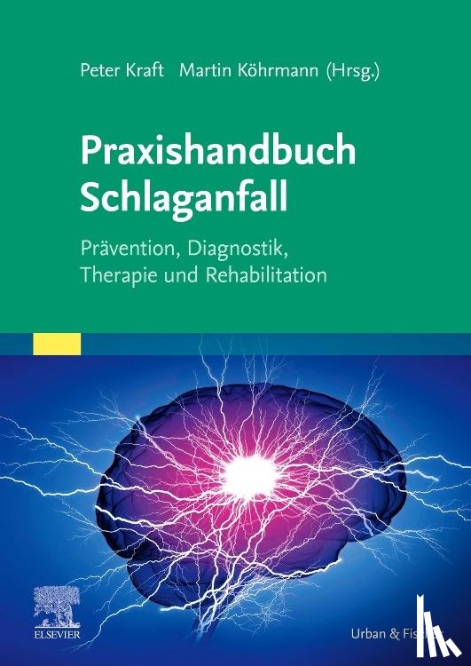  - Praxishandbuch Schlaganfall