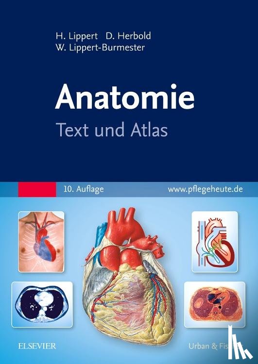Lippert, Herbert, Herbold, Desiree, Lippert-Burmester, Wunna - Anatomie