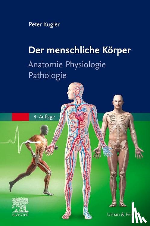 Kugler, Peter - Der menschliche Körper