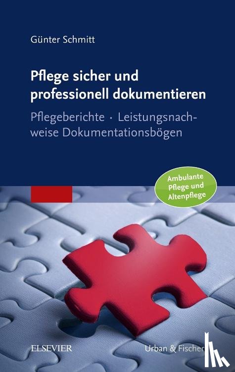 Schmitt, Günter - Pflege sicher und professionell dokumentieren