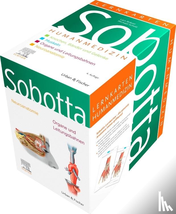 Bräuer, Lars, Scholz, Michael - Sobotta Lernkarten Humanmedizin