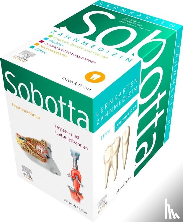 Bräuer, Lars, Scholz, Michael, Proff, Peter - Sobotta Lernkarten Zahnmedizin