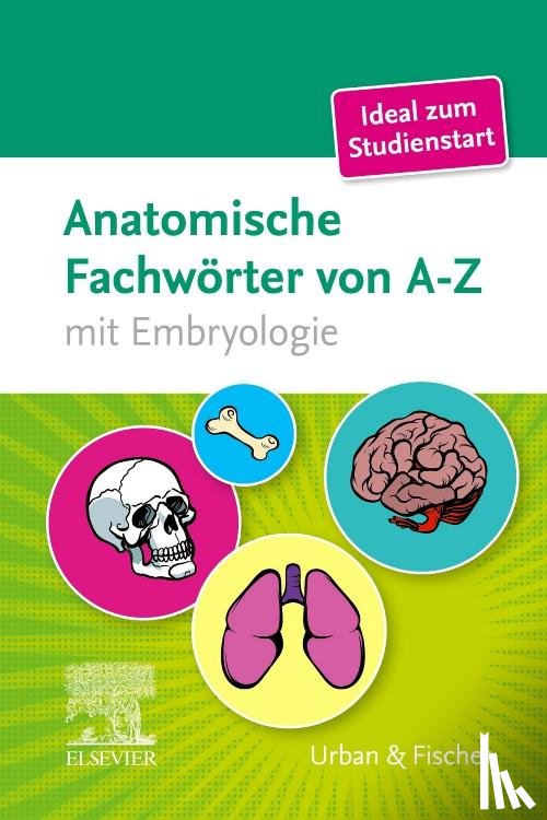  - Anatomische Fachwörter von A-Z