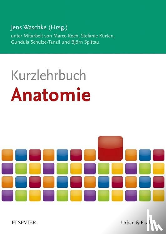 Koch, Marco, Kürten, Stefanie, Schulze-Tanzil, Gundula, Spittau, Björn - Kurzlehrbuch Anatomie