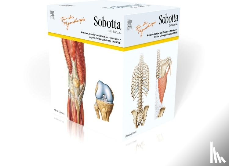 Bräuer, Lars, Bernhard, Joachim - Sobotta Lernkarten für Physiotherapeuten