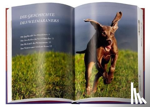 Fichtlmeier, Gila, Fichtlmeier, Anton - Weimaraner