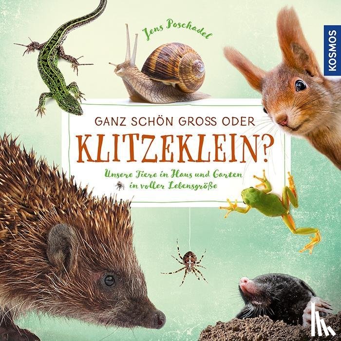 Poschadel, Jens - Ganz schön groß oder klitzeklein?