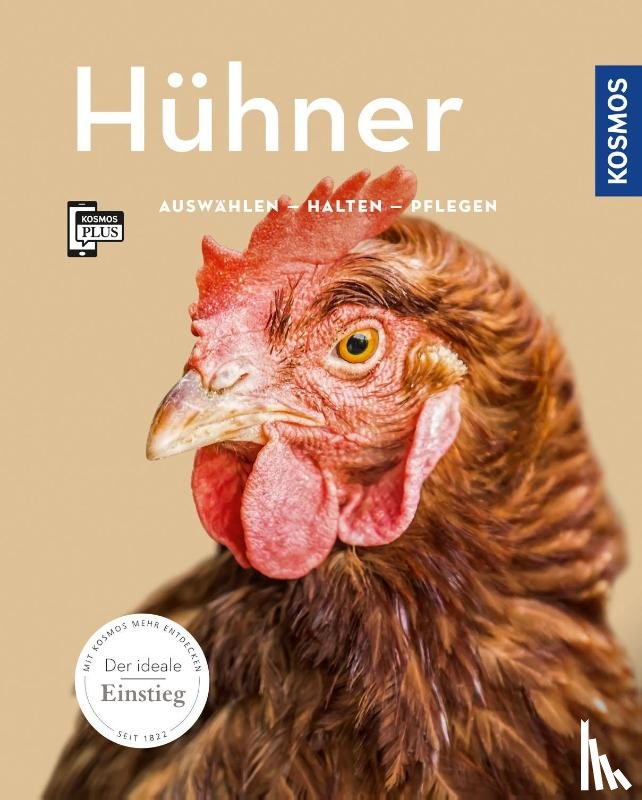 Steinkamp, Anja - Hühner