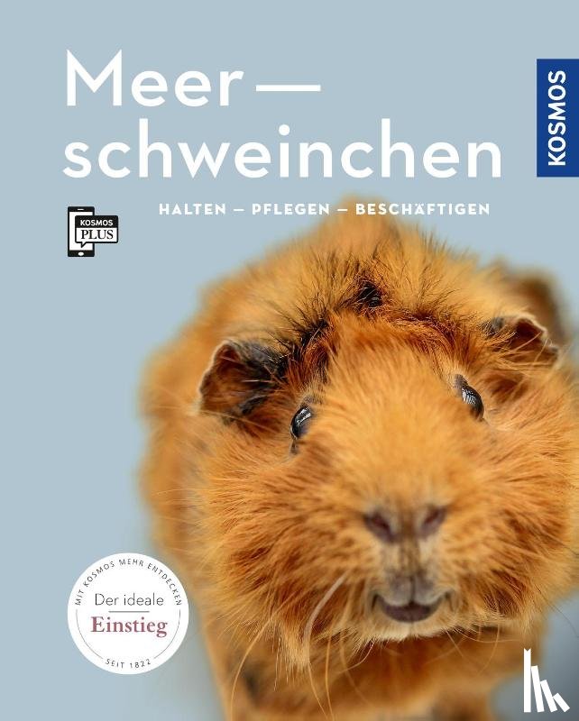 Beck, Angela - Meerschweinchen