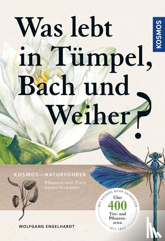 Engelhardt, Wolfgang, Martin, Peter, Rehfeld, Klaus - Was lebt in Tümpel, Bach und Weiher?