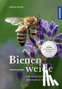 Pritsch, Günter - Bienenweide