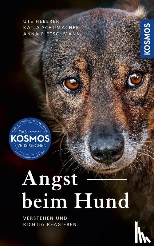 Heberer, Ute, Schumacher, Katja, Pietschmann, Anna - Angst beim Hund