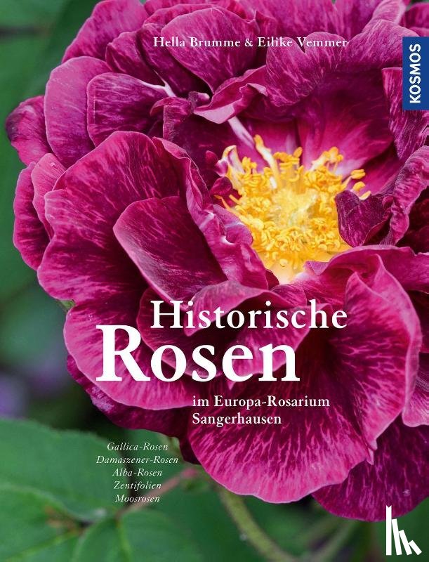 Brumme, Hella, Vemmer, Eilike - Historische Rosen